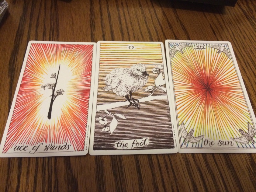 ace of wands, the fool, and the sun